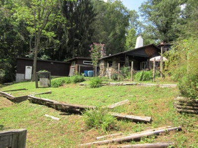 How We Became Caretakers of a Historic Appalachian Homestead Image